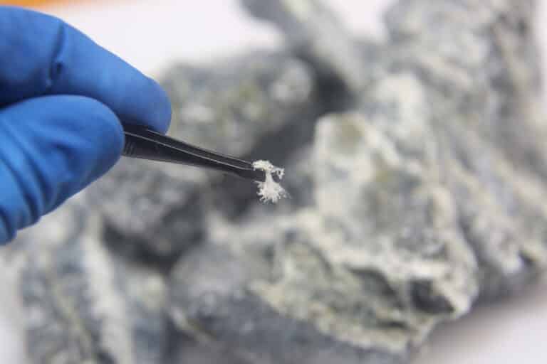 A gloved hand holds tweezers gripping a small fibrous mineral sample, with larger rock specimens blurred in the background.