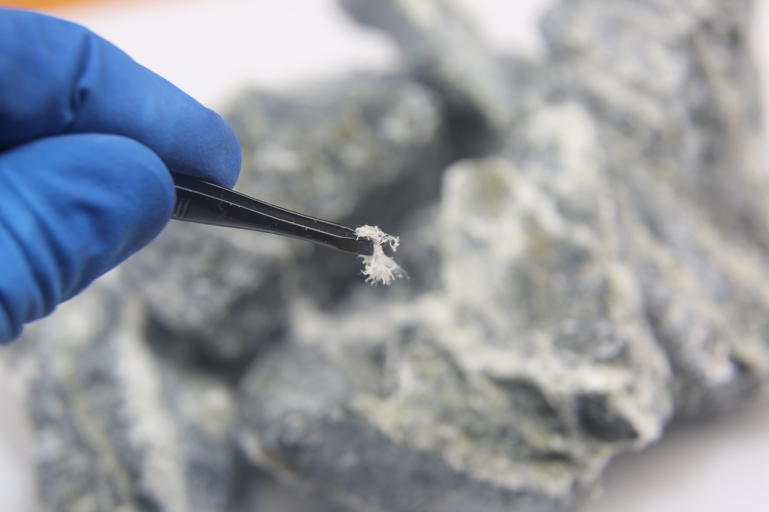 A gloved hand holds tweezers gripping a small fibrous mineral sample, with larger rock specimens blurred in the background.