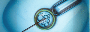 A close-up of a pipette and needle interacting with a cell or embryo under a microscope, depicting a laboratory procedure.
