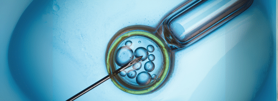 A close-up of a pipette and needle interacting with a cell or embryo under a microscope, depicting a laboratory procedure.